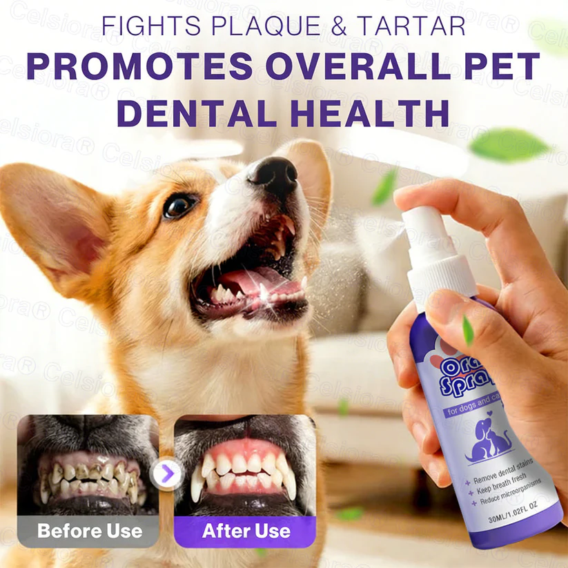💥2026 Summer Best Hot Sale  🎁Buy 2 Get Free Shipping