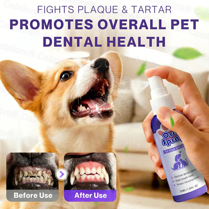 💥2026 Summer Best Hot Sale  🎁Buy 2 Get Free Shipping
