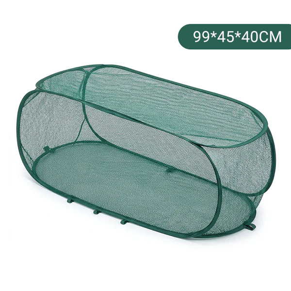 💥2026 Summer Best Hot Sale  🎁Buy 2 Get Free Shipping