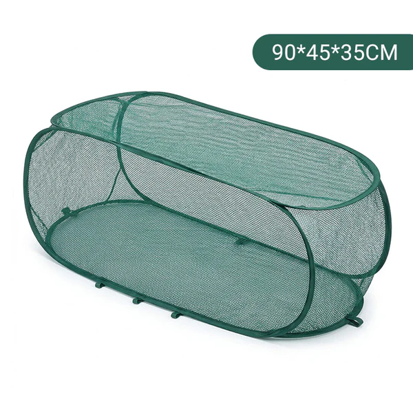💥2026 Summer Best Hot Sale  🎁Buy 2 Get Free Shipping