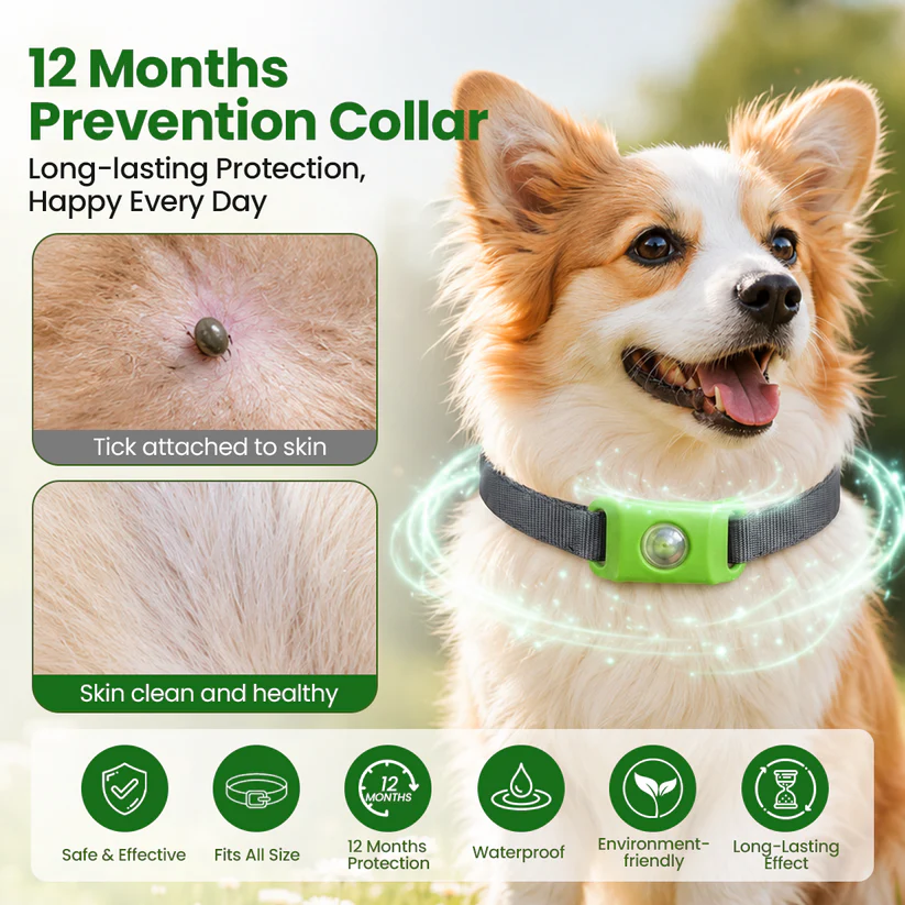 Timilk® Petlavo💥2026 Summer Best Hot Sale  🎁Buy 2 Get Free Shipping