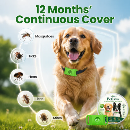Timilk® Petlavo💥2026 Summer Best Hot Sale  🎁Buy 2 Get Free Shipping